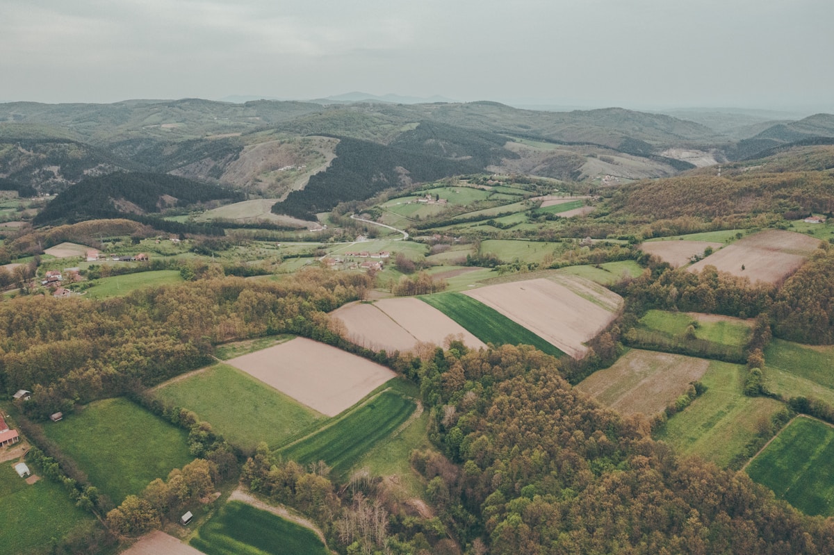 Green countryside landscape in Serbia